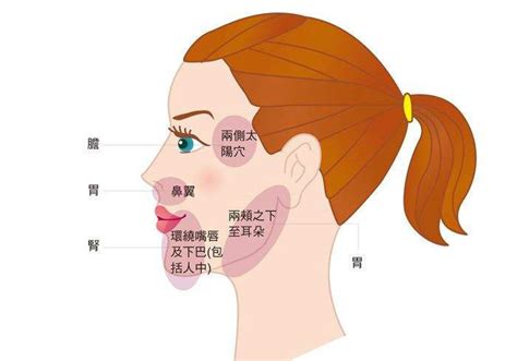 生痘痘位置|长痘痘位置图解，不同位置长痘痘反应出身体不同状况